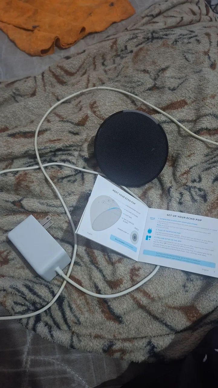 Alexa echo pop