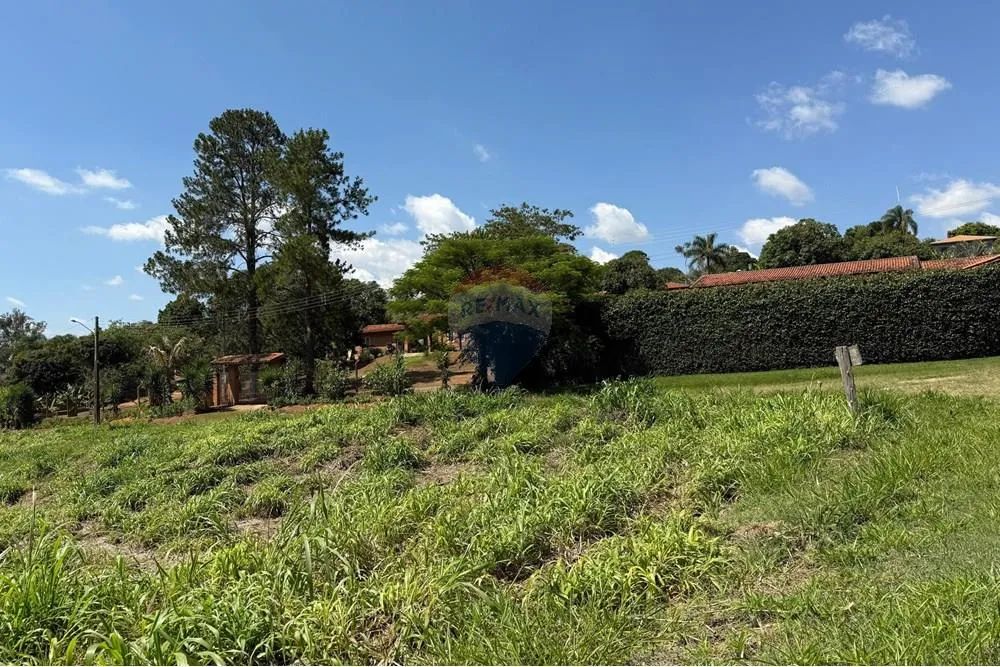 Lote à venda com 1000 metros em Tuiuti - Foto 5