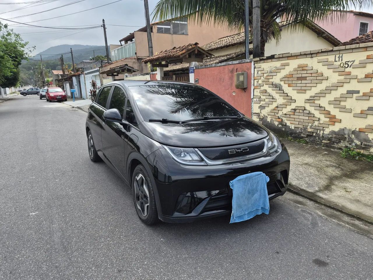 BYD Dolphin EV (Elétrico) 2024 - Foto 2