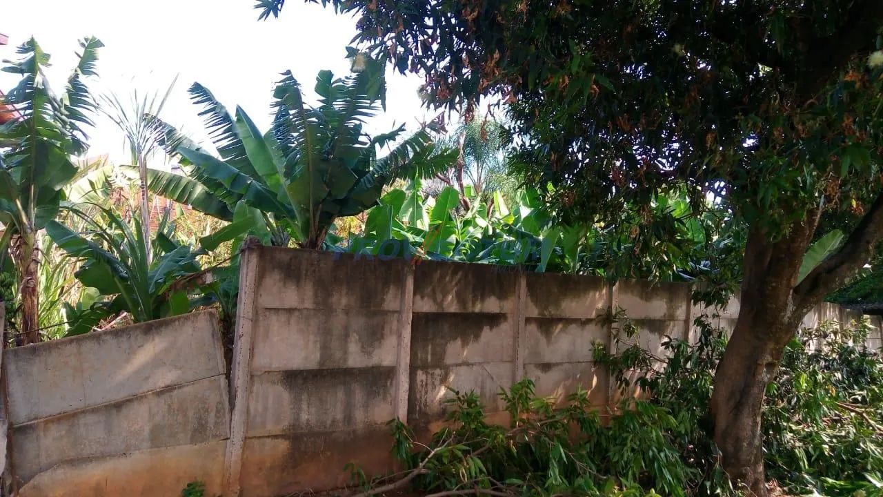 terreno - Jardim Chapadão - Campinas - Foto 2