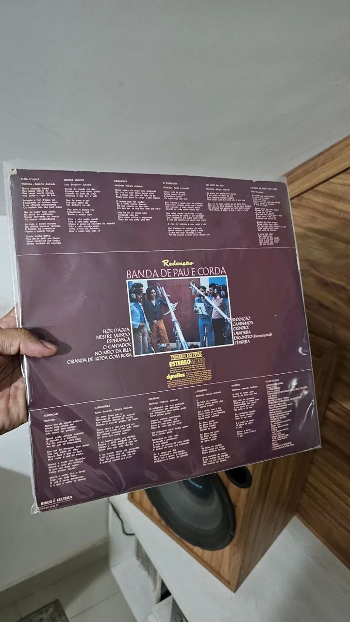 Lp Banda de Pau e corda - Foto 2