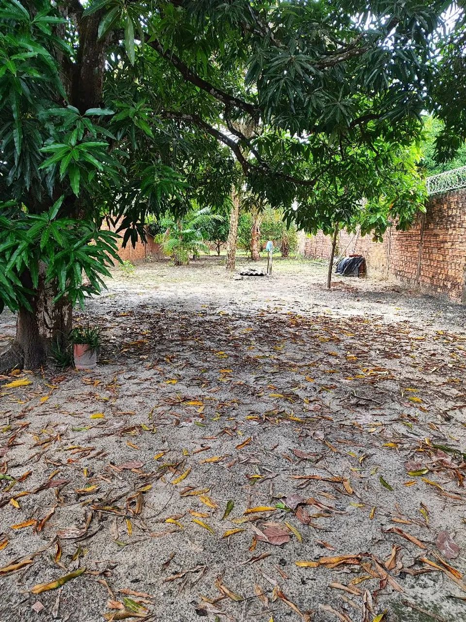 TERRENO a venda bairro MATA .  - Foto 5
