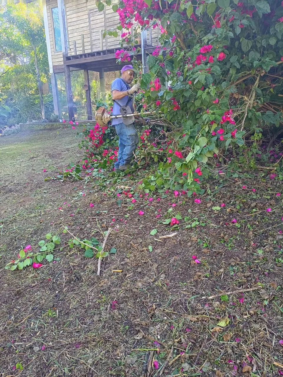 Roçagem  - Foto 3