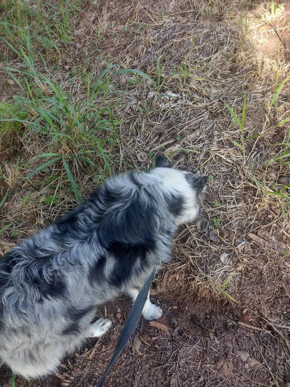 Doação .  - Foto 2