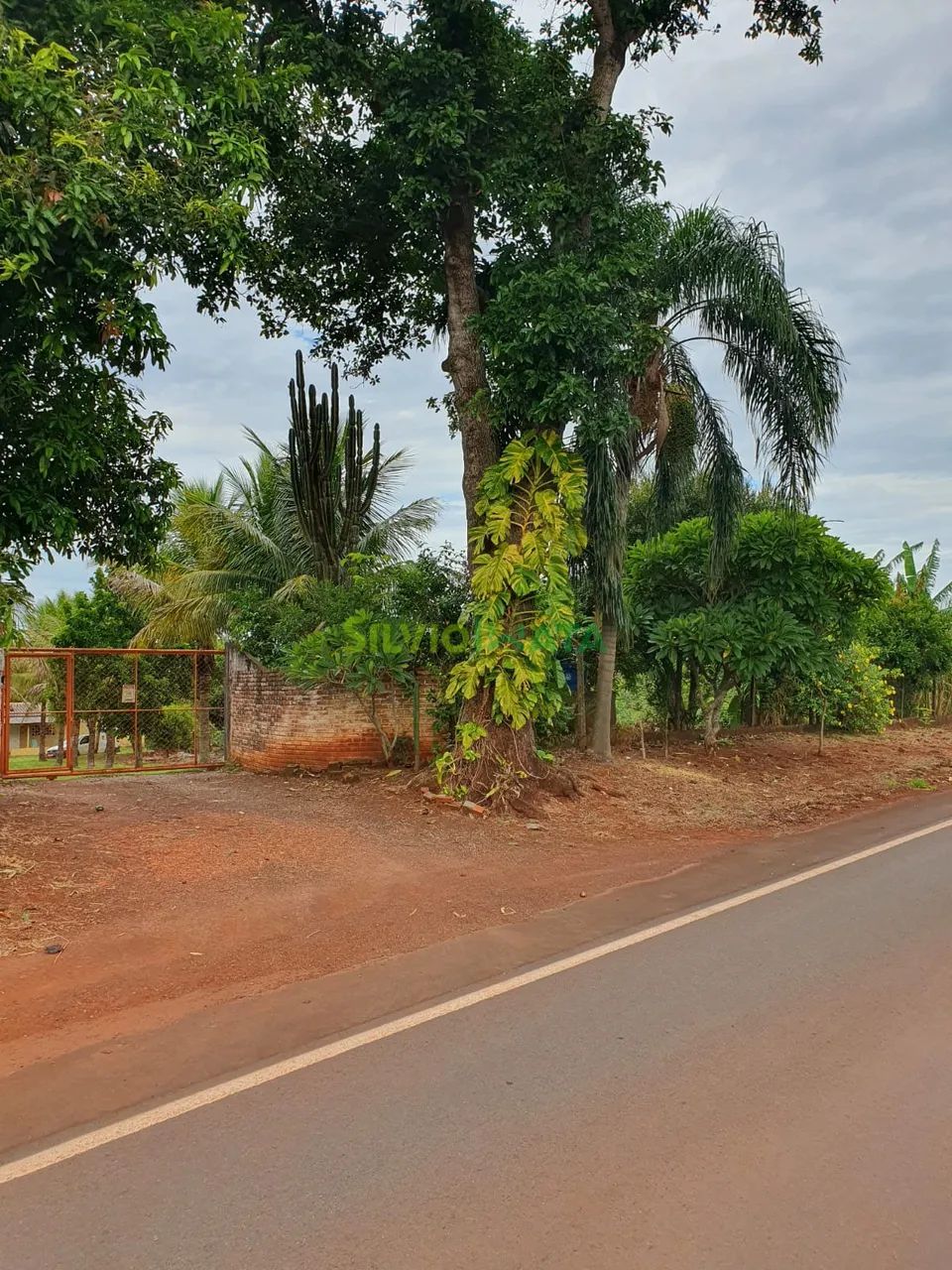 Chácara à Venda no Rio Ivaí Dr. Camargo - Foto 4