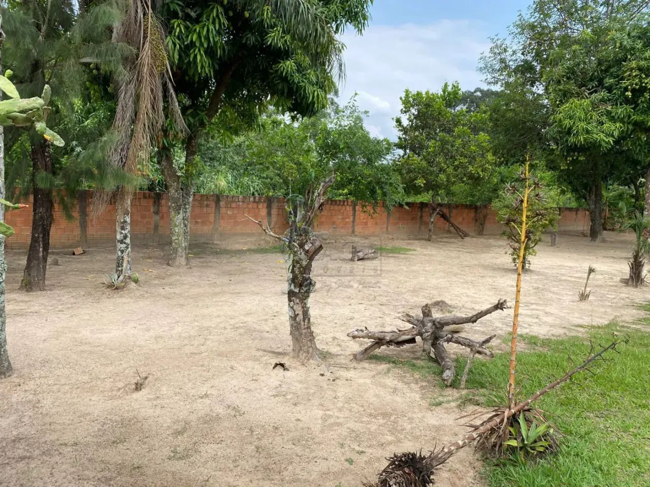 CHÁCARA LOCALIZADA EM CAJURU / BIG VALLEY - Foto 4