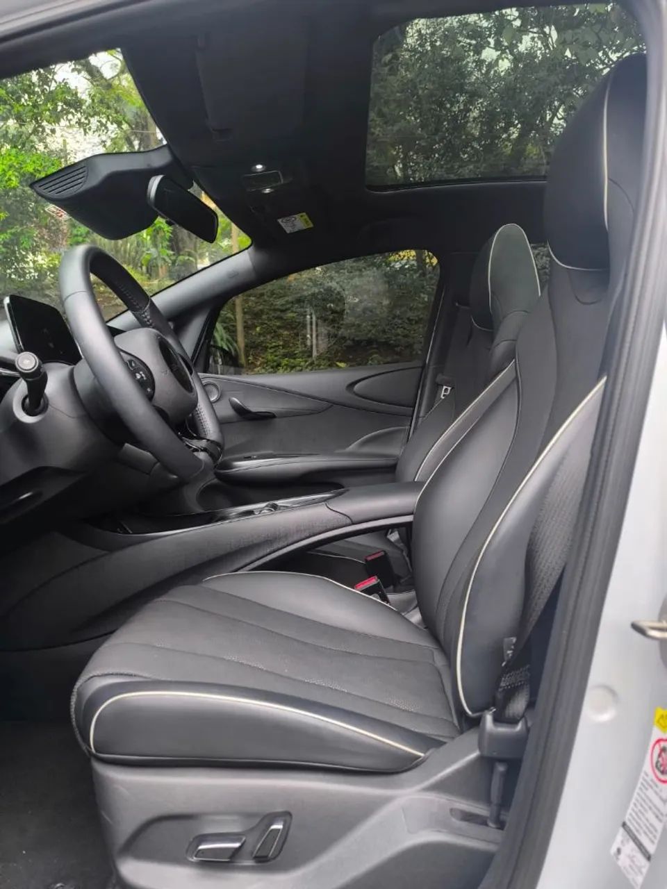 BYD Dolphin Plus (Elétrico) 2024 - Foto 2