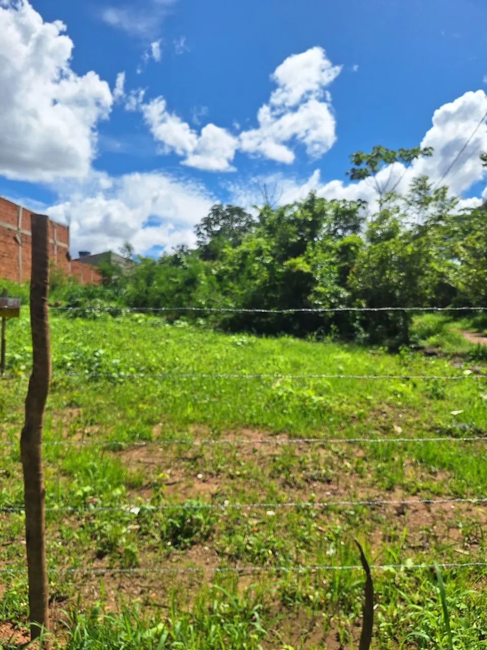 Terreno - Foto 2