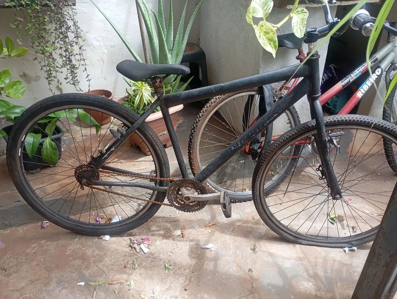 Bike Aro 29 
