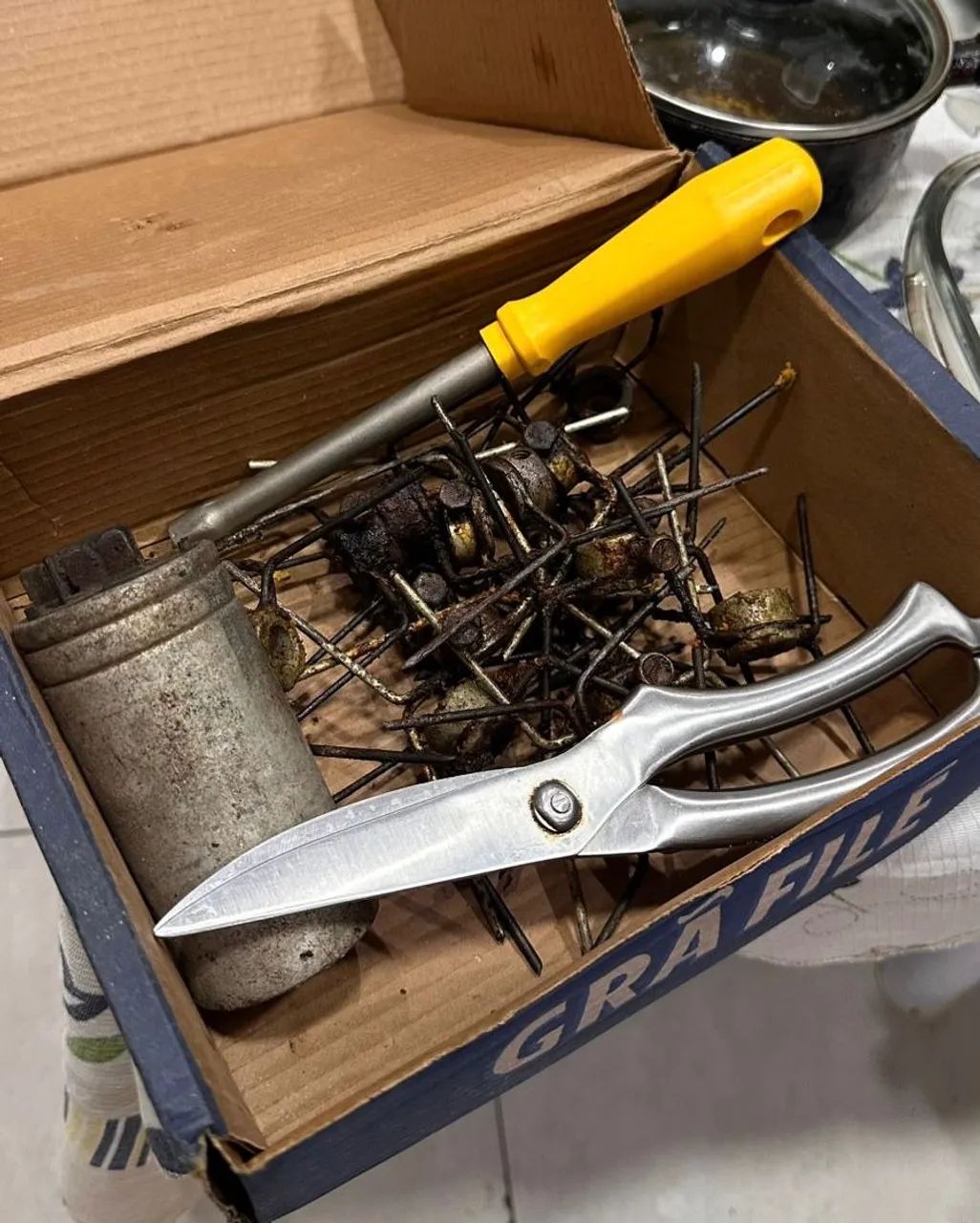 Frangueira  - Foto 5