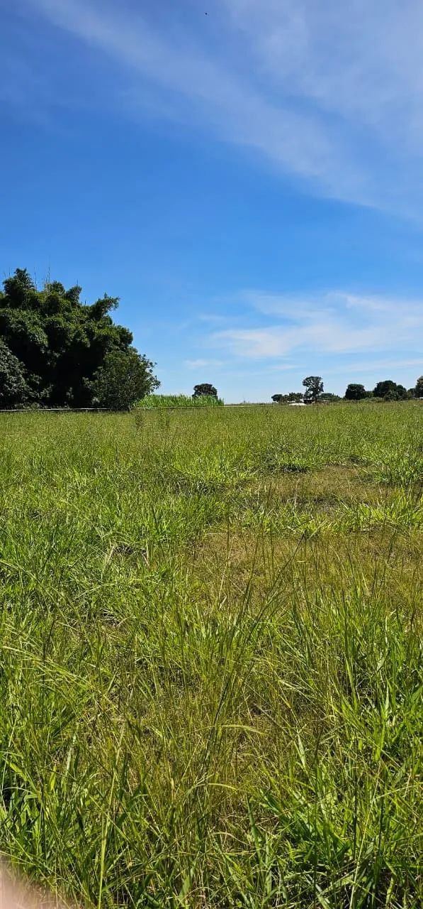 Lindo Sítio-Fazenda 60+20 Hects. - Foto 4