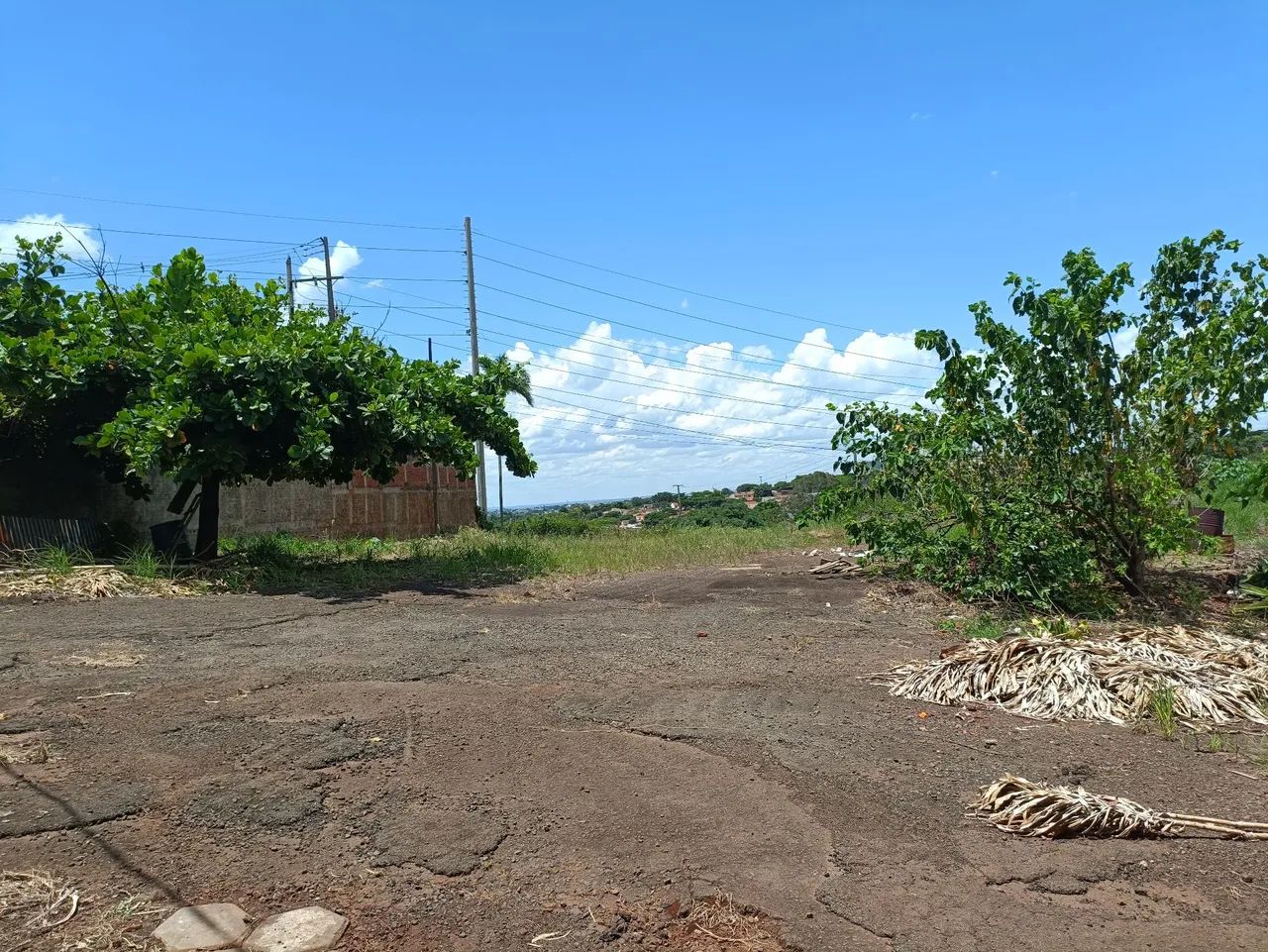 Terreno com Barracão de 450,0 M2 e Terreno com 14.700,0 M2 Vendo Alugo  - Foto 2