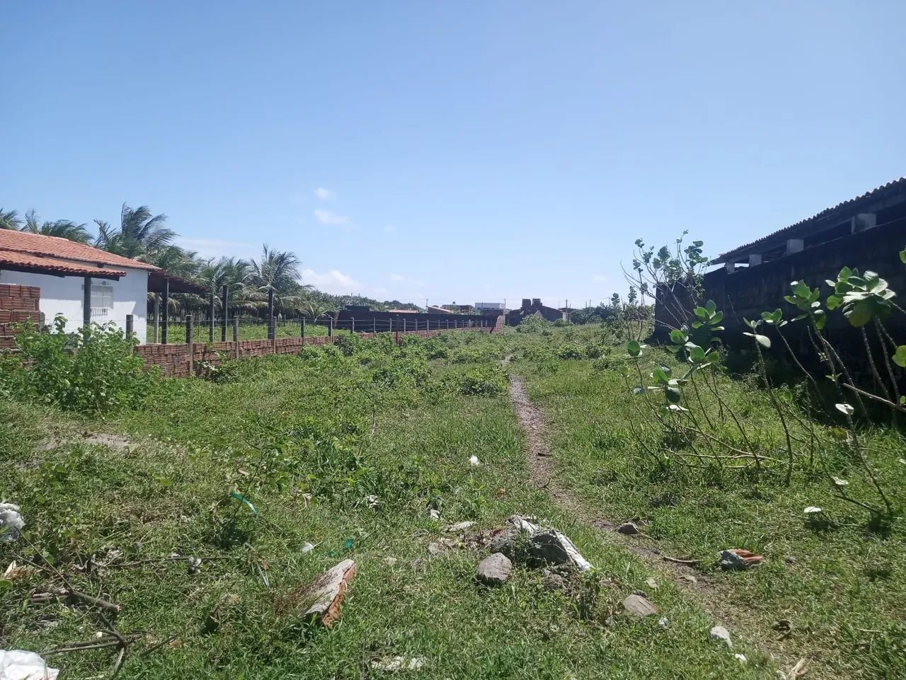 Vendo Lotes na Praia de Muriu-RN   - Foto 5