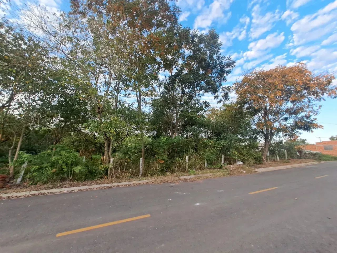 TERRENO - JATOBA/ IMPERIAL VG