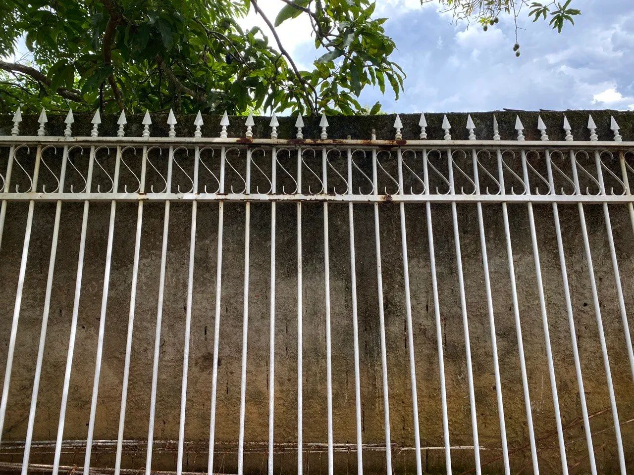 Portão de grades  - Foto 2