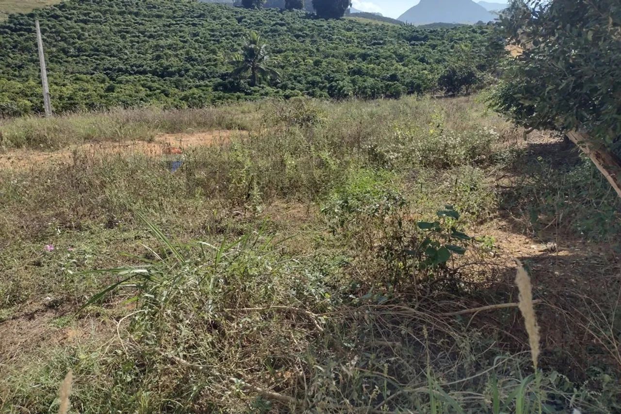 Terreno em Lusitânea - Jerônimo Monteiro - Foto 5
