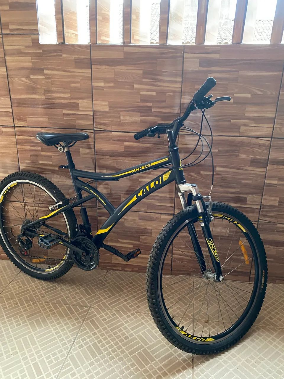 Bicicleta 