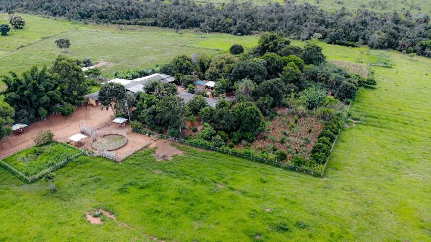Lindo Sítio-Fazenda 60+20 Hects.