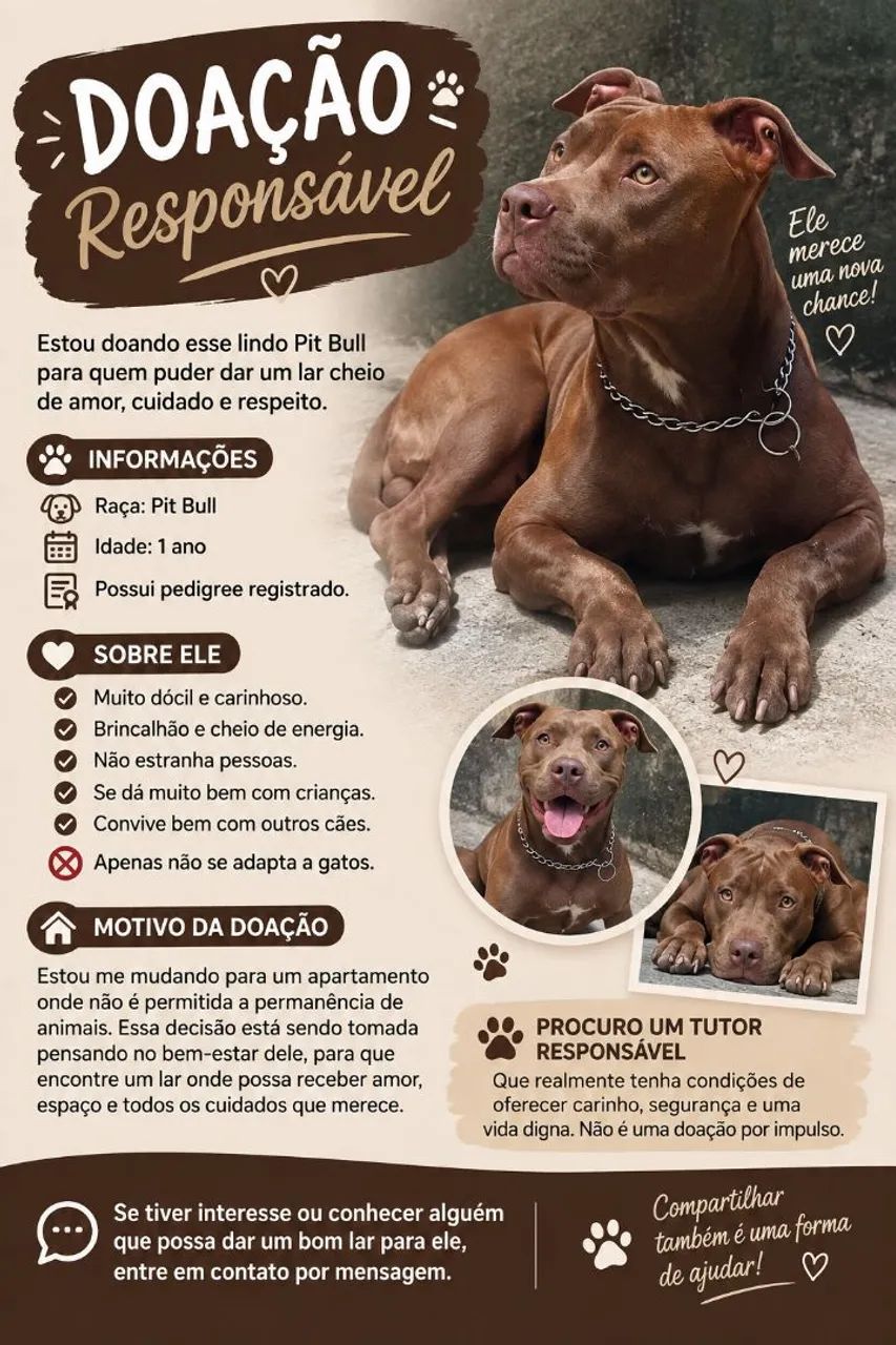 Doação responsável