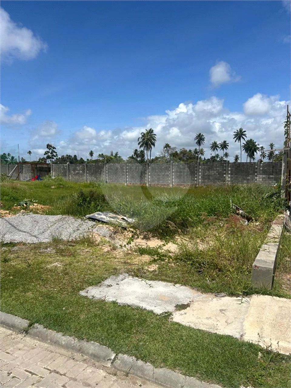 Loteamento à venda em Barra nova - AL - Foto 4