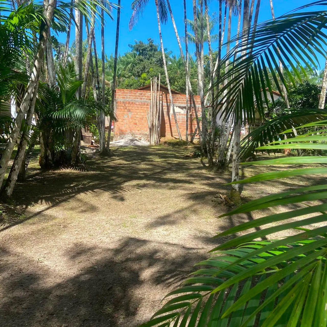 Vendo sitio  - Foto 3