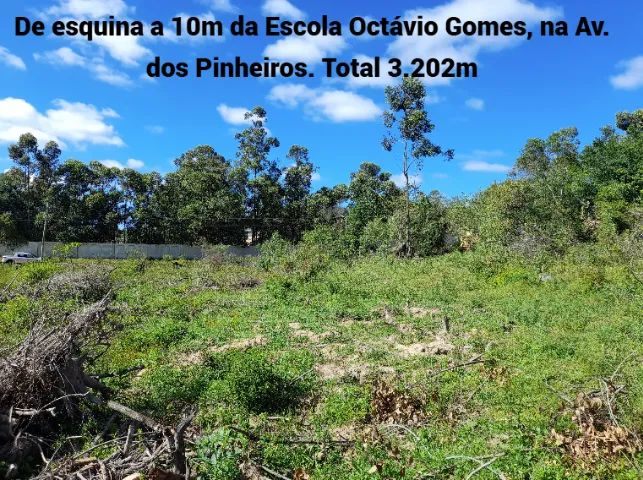 Os melhores  - Foto 4