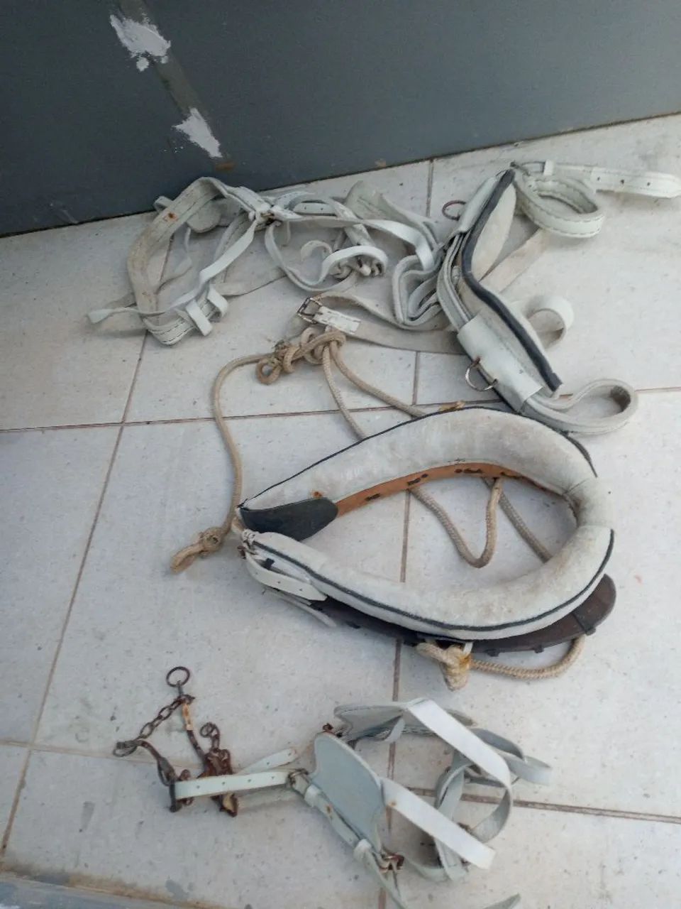 Arreios para charrete  - Foto 4