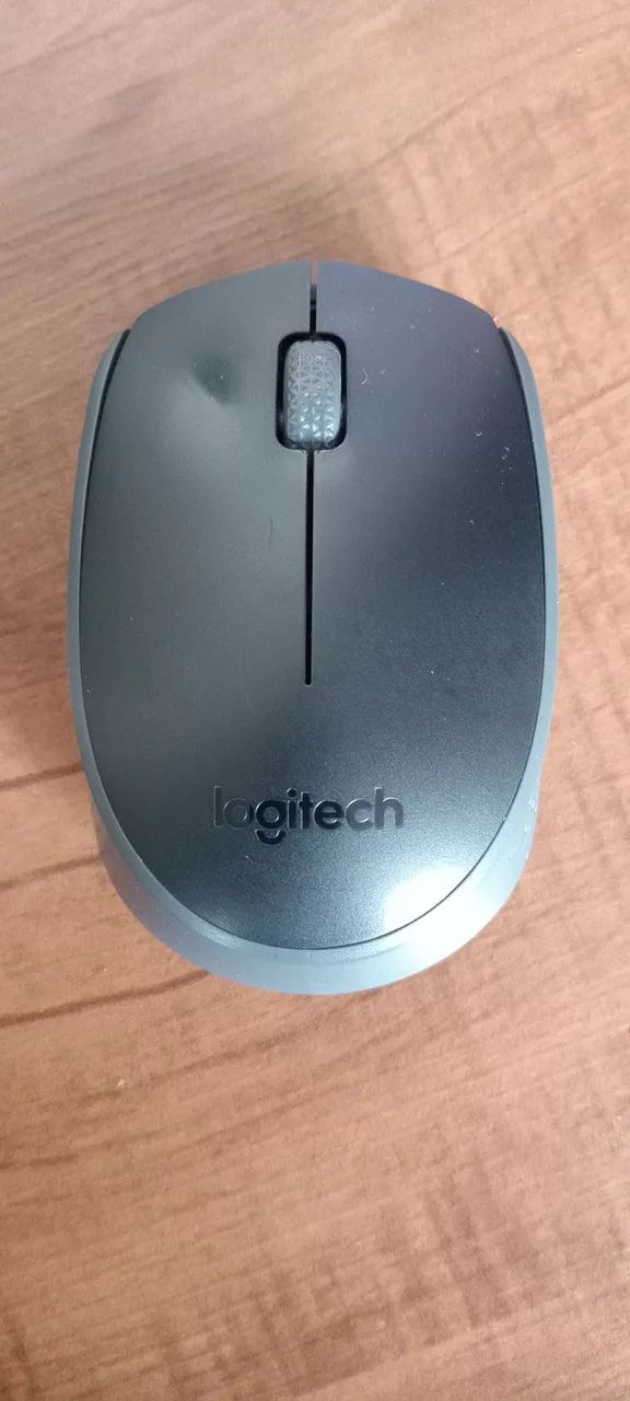 Mouse sem fio Logitech M170