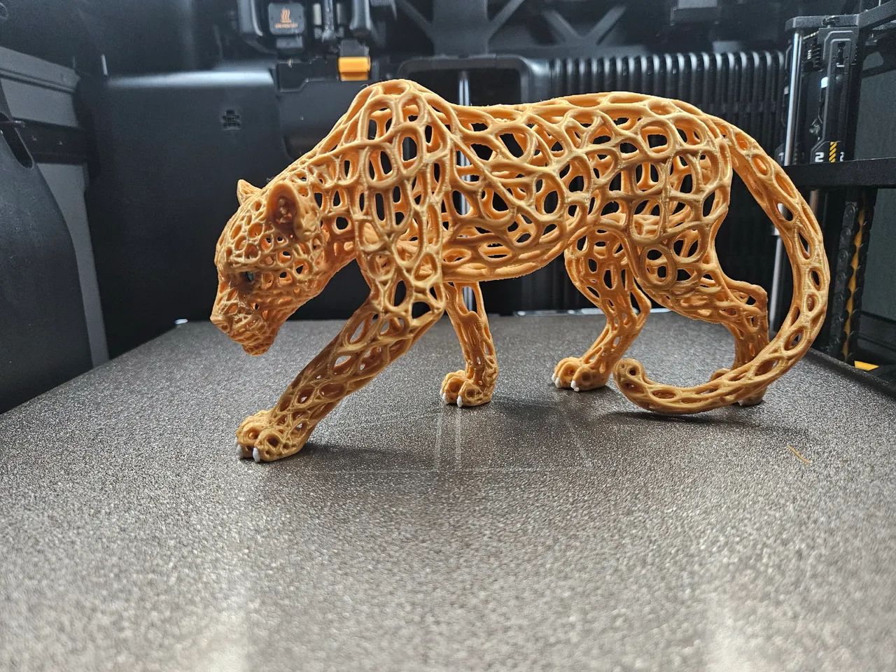 Leopardo voronoi  - Foto 2