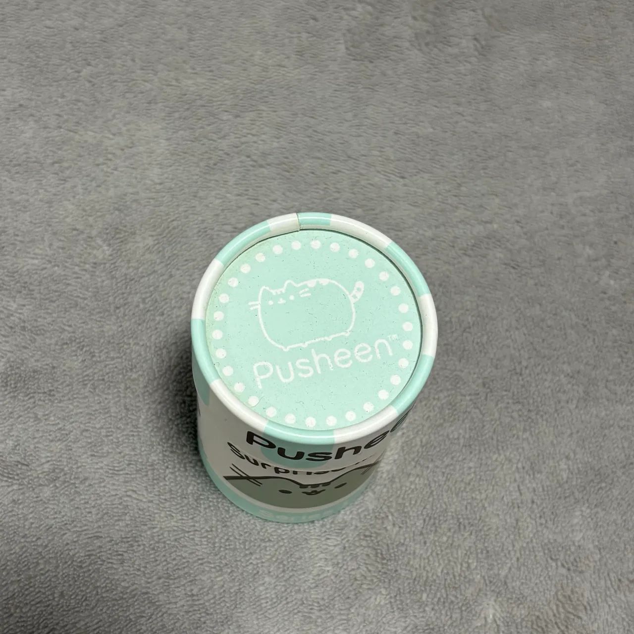 Caixa Pusheen Cat Decoração - Foto 2