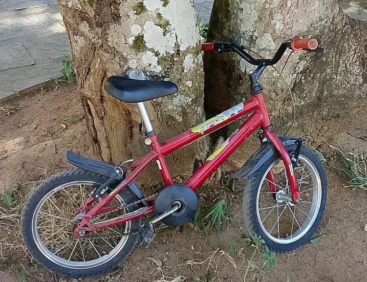 Bicicleta aro 16