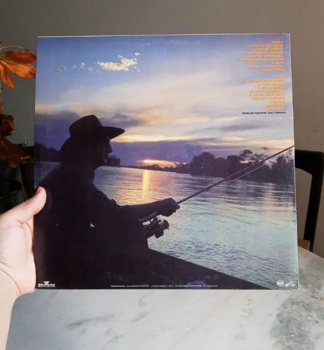 lp vinil - sergio reis - pantaneiro - com encarte - Foto 3