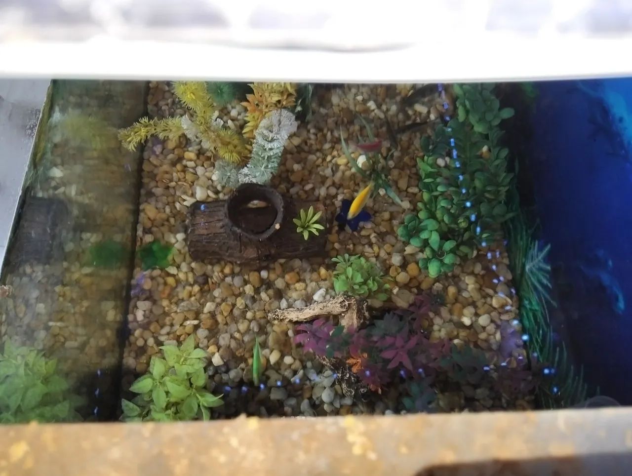 Aquário completo - Foto 2