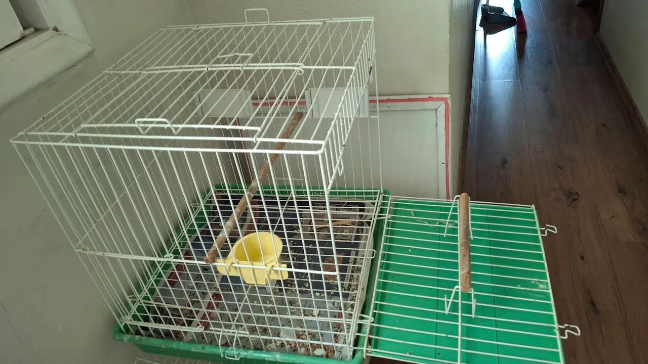Gaiola para Pássaros Calopsita - Foto 2
