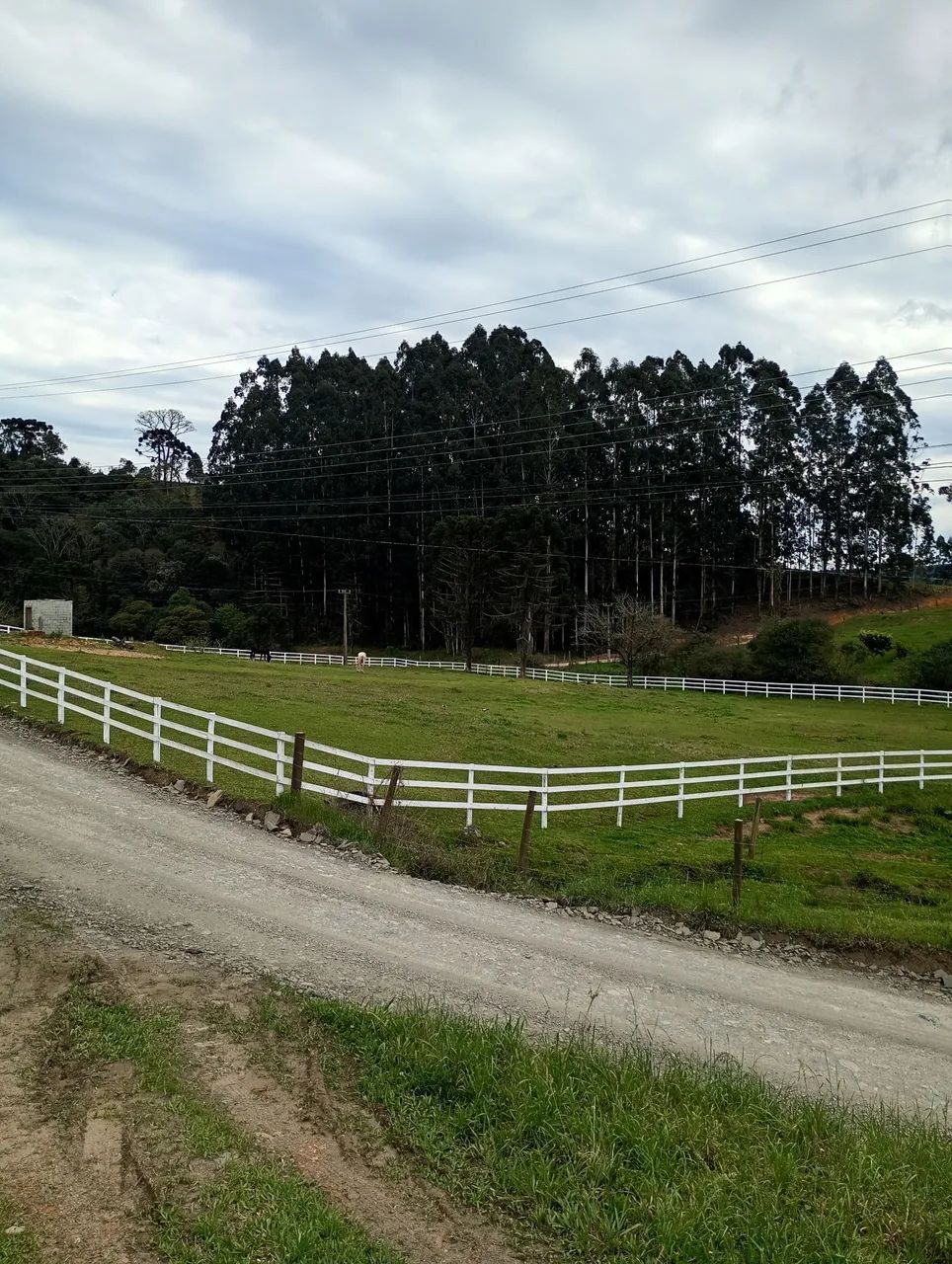 Terreno a venda Rancho Queimado (Escritura pública) - Foto 2
