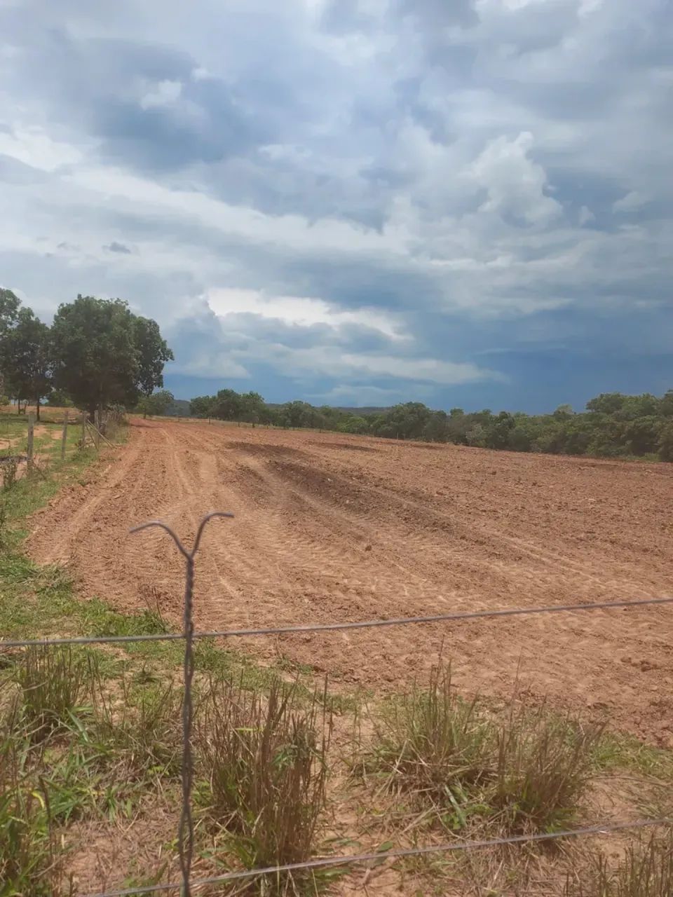 Vendo fazenda com 173 hectares na região de BONFINOPOLIS  próximo a Unai MG - Foto 6