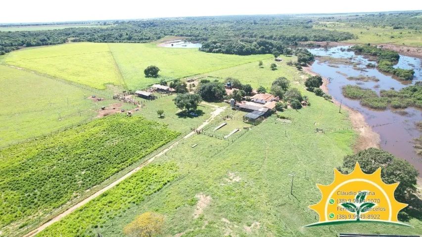 Fazenda entre Unaí e Paracatu-Mg - Foto 2