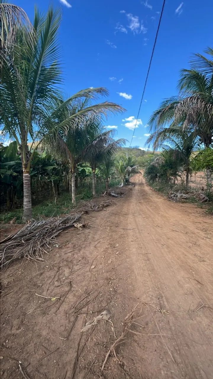 SITIO A VENDA *. 