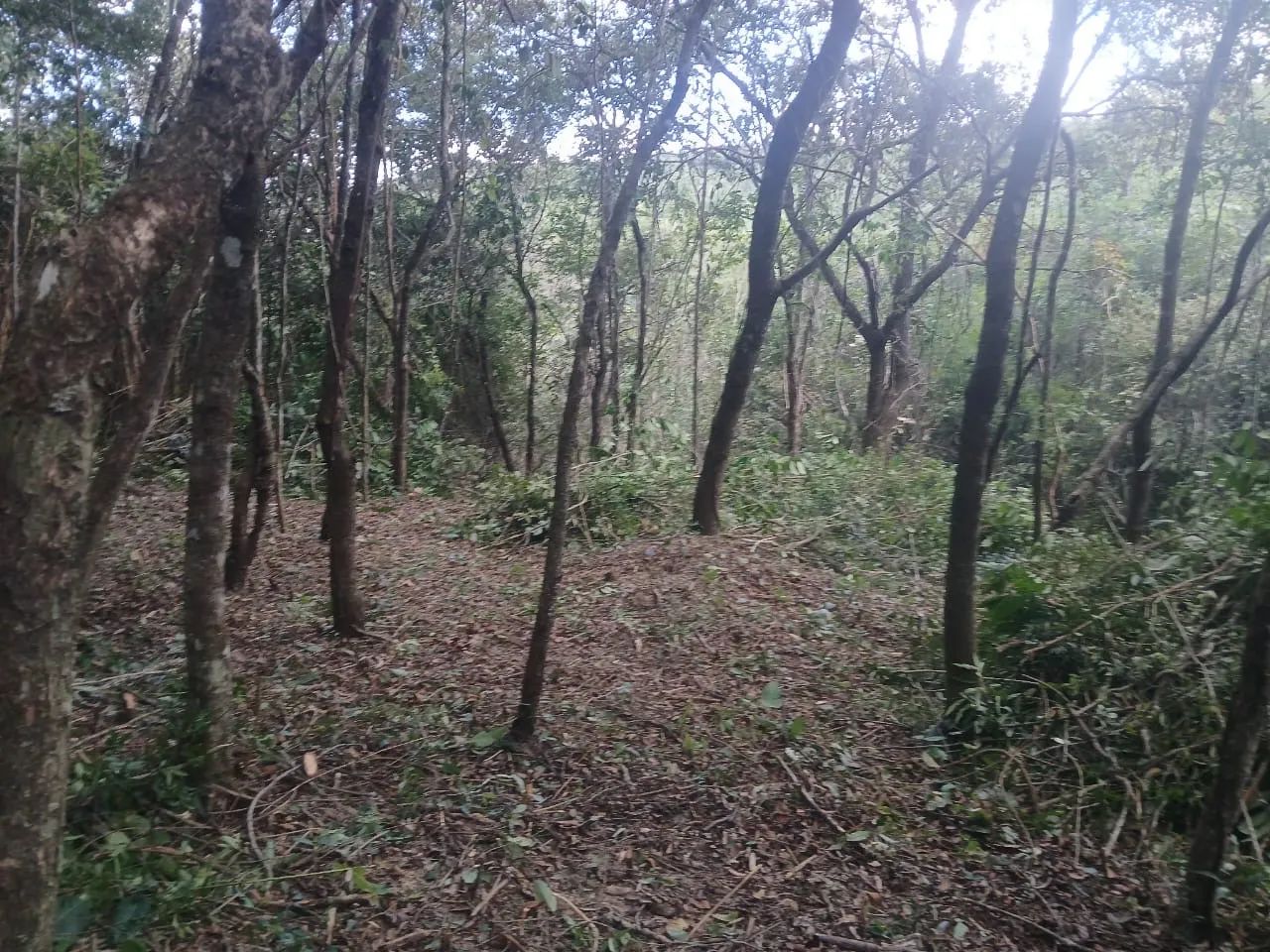 Vende-se terreno em Taquaraçu de Minas sítios chácaras  - Foto 3