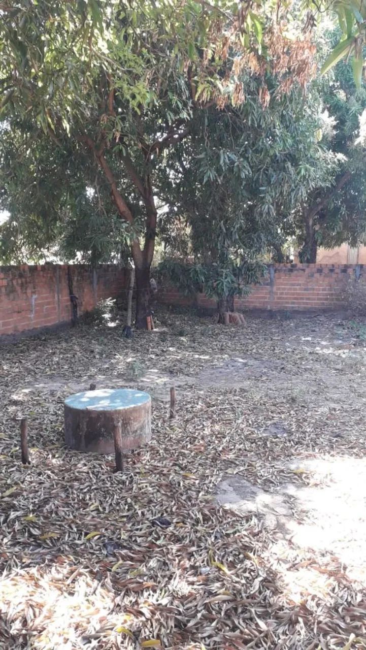 Terreno Parque Aliança  - Foto 4