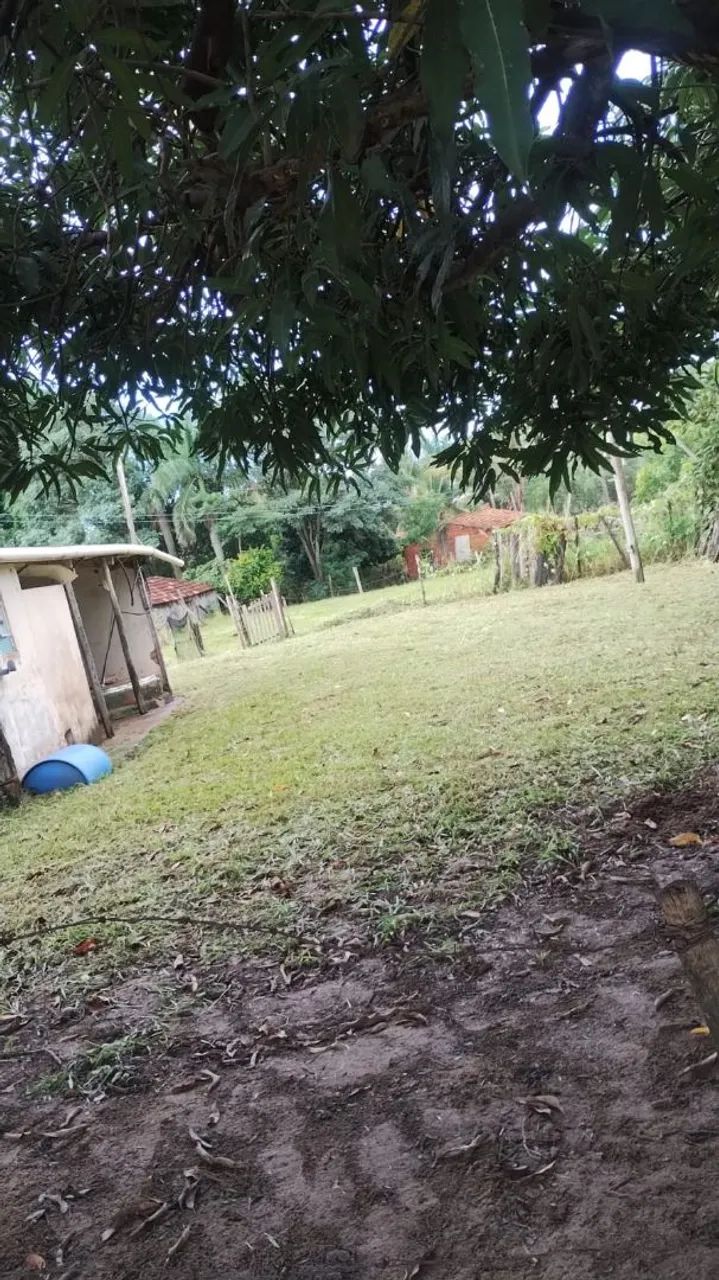 SITIO BEM LOCALIZADO CIDADE SABINO- SP - Foto 4