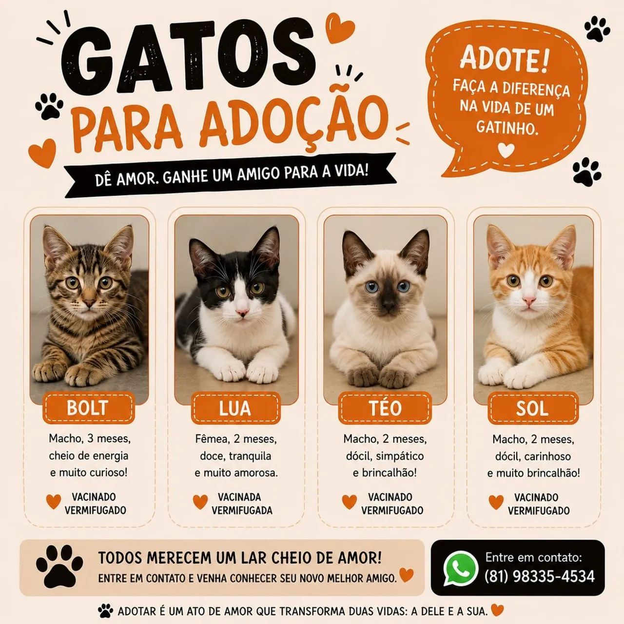 Gatinhos para doação  - Foto 3