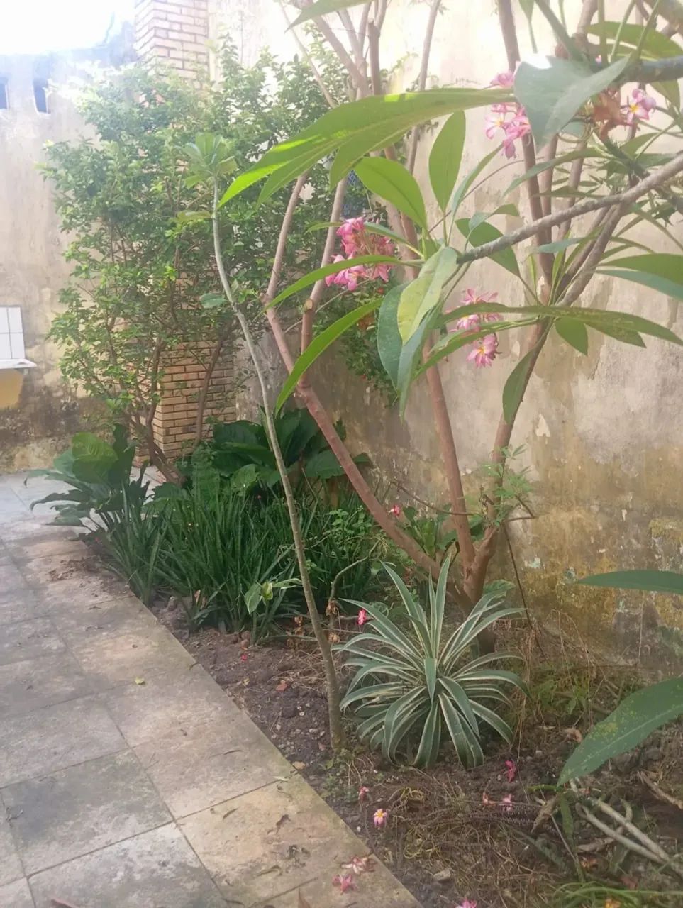 Imóvel para venda na Serrinha - Fortaleza - CE - Foto 2