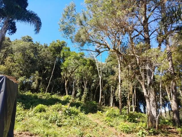 Chácara 1.200 m² - Mandirituba  - Foto 5