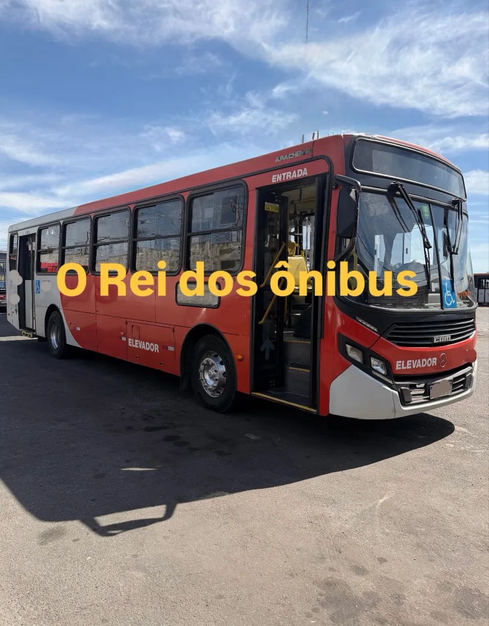 Ônibus urbano - Caio Apache Vip 19/20.