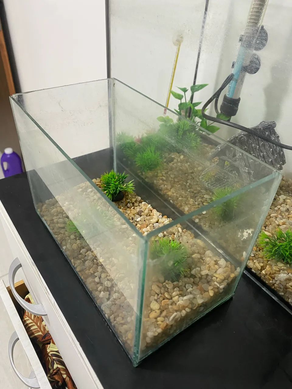 AQUÁRIOS PARA PEIXES - Foto 3