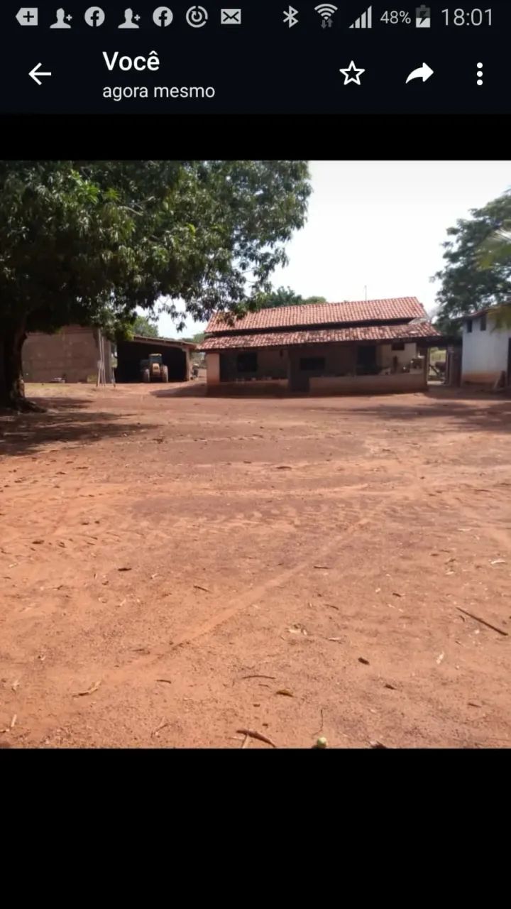 Fazenda a venda em Goiatins Tocantins!!! - Foto 3