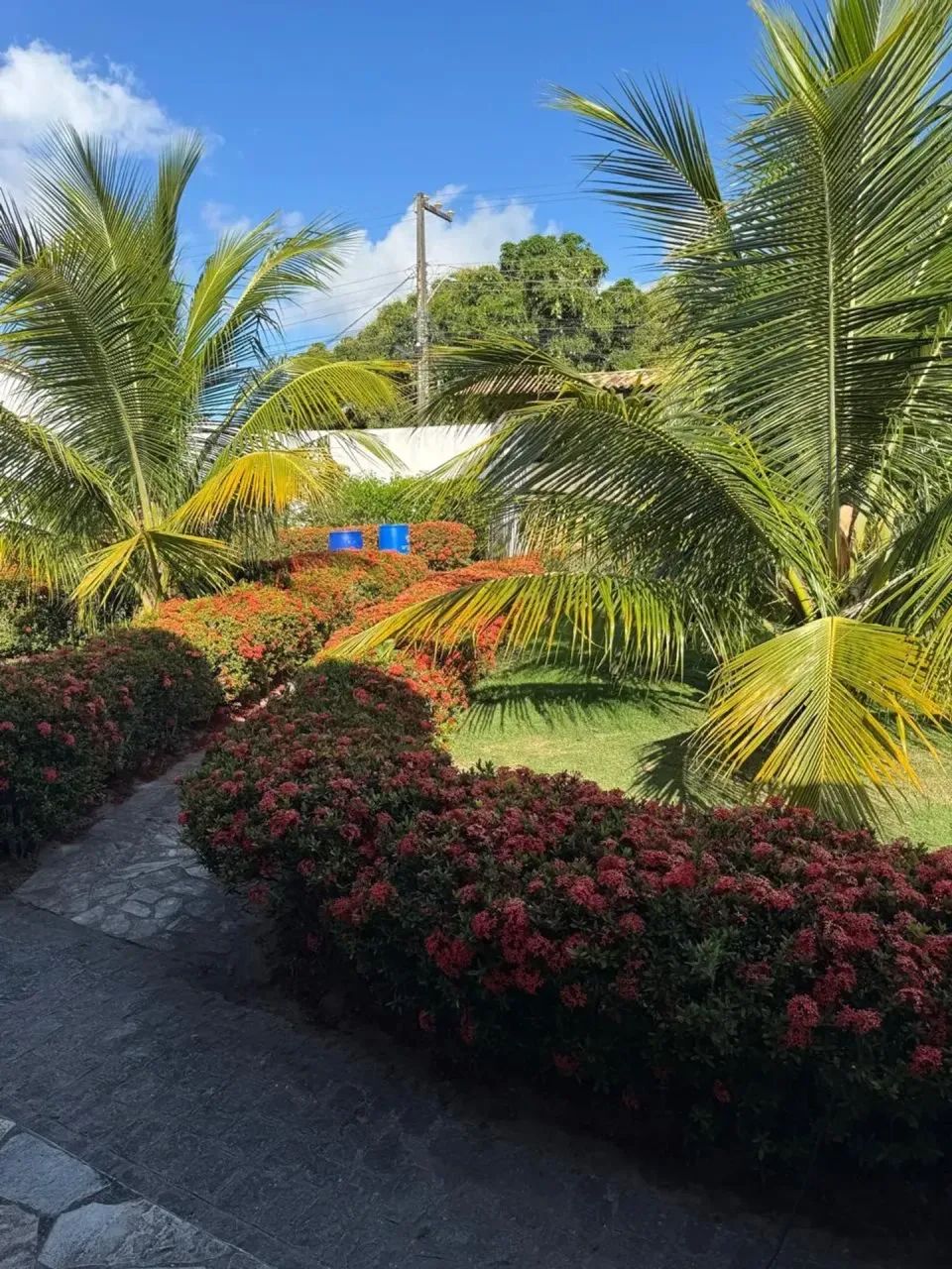 Chácara à venda no Mosqueiro - Foto 4