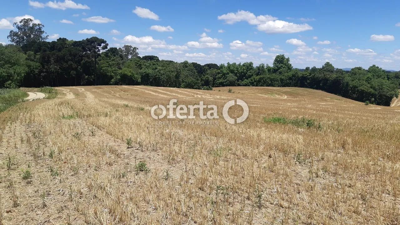 Chácara em Araucária / Campo do Thomaz - Foto 2
