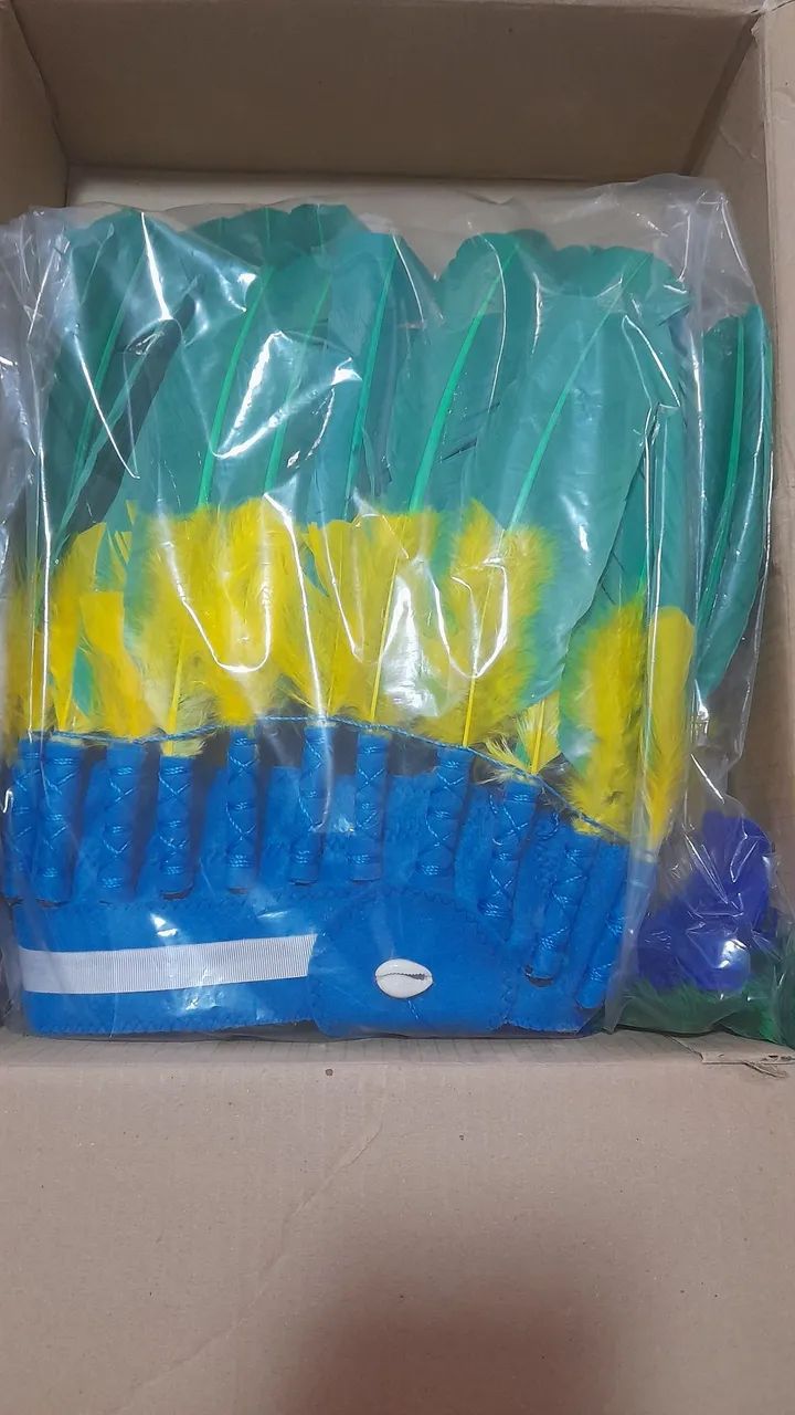 Cocar índio cores do Brasil
